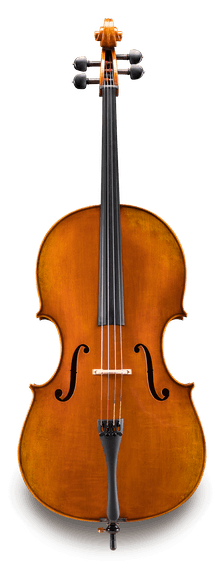 伊斯特曼大提琴VC702