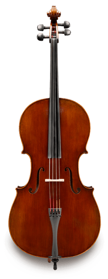 伊斯特曼大提琴VC701