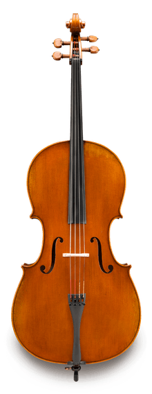 伊斯特曼大提琴VC502