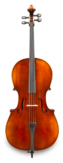 伊斯特曼大提琴VC305