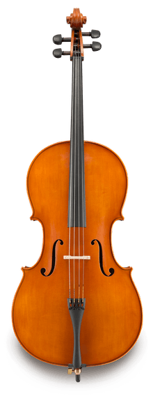伊斯特曼大提琴VC200
