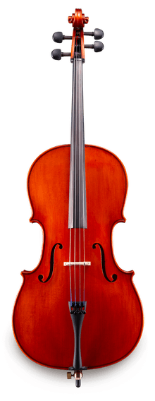 伊斯特曼大提琴VC100