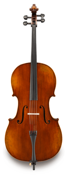 伊斯特曼大提琴VC401
