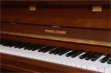 英昌钢琴YK125S WLCP/BP
